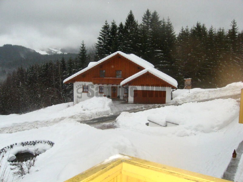 IMG_4517.JPG