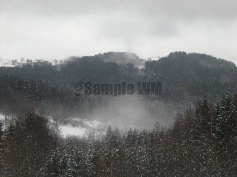 IMG_4520.JPG
