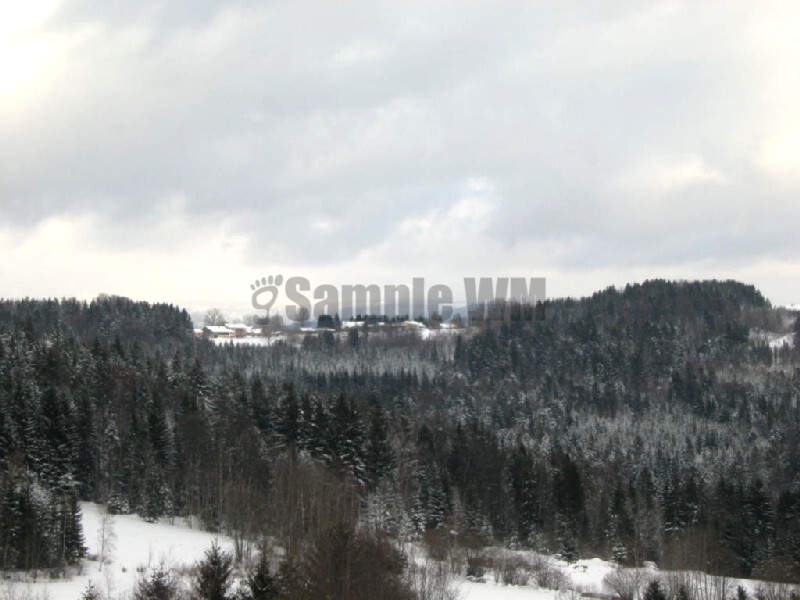 IMG_4581.JPG