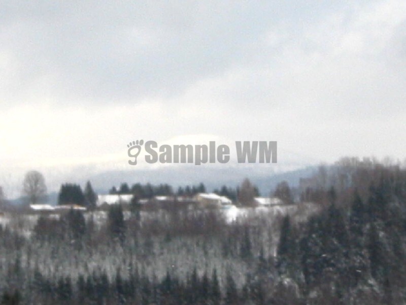 IMG_4582.JPG
