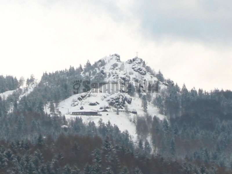 IMG_4624.JPG