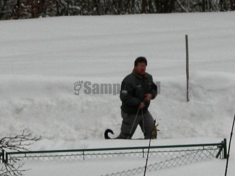 IMG_4627.JPG