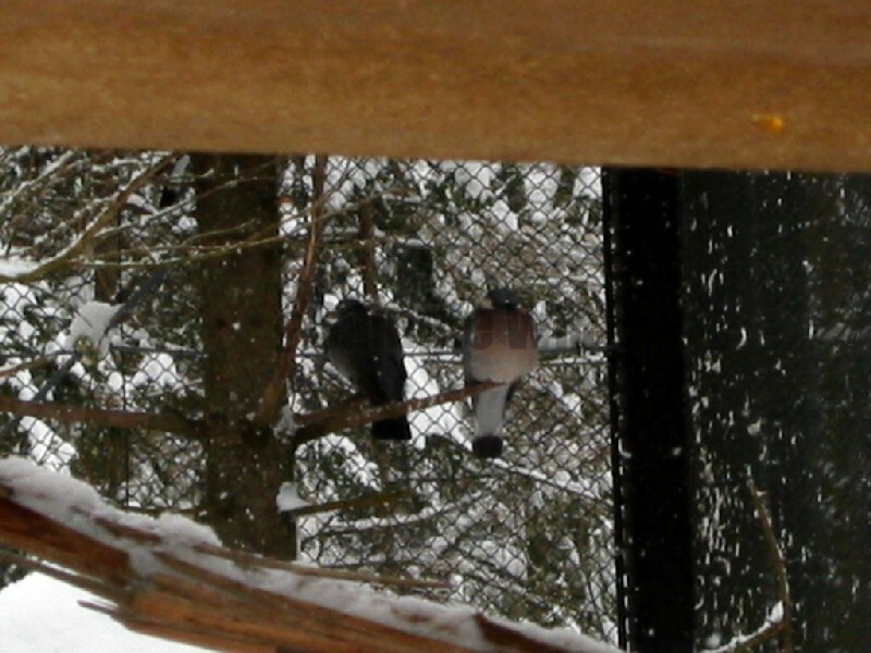 IMG_4693.JPG