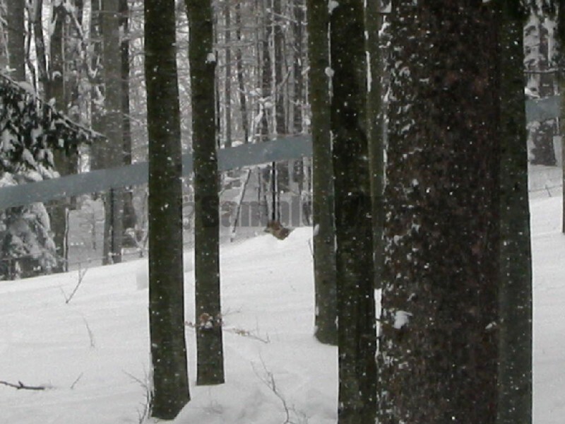 IMG_4714.JPG