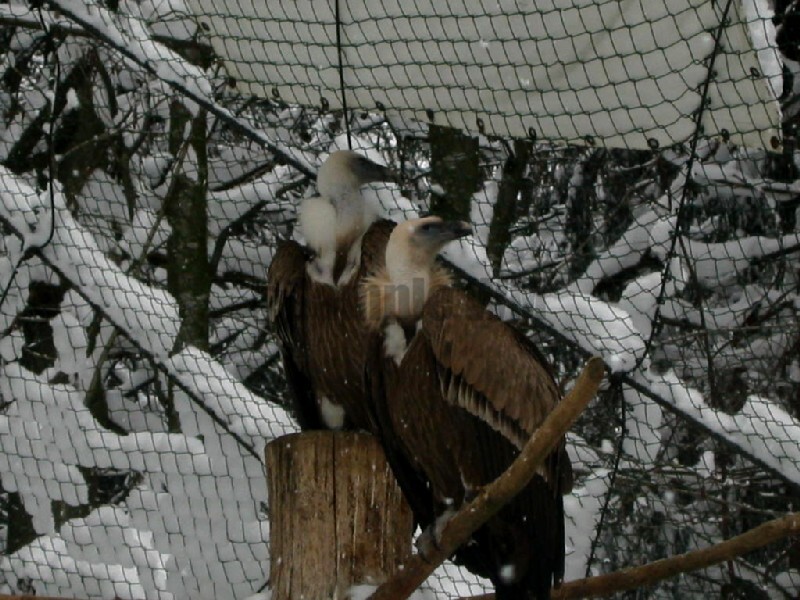IMG_4722.JPG
