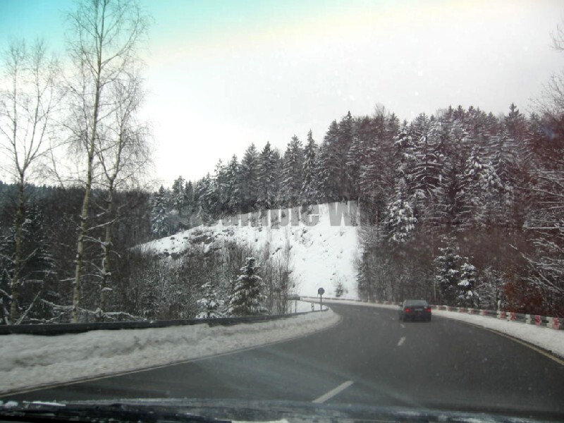IMG_4772.JPG