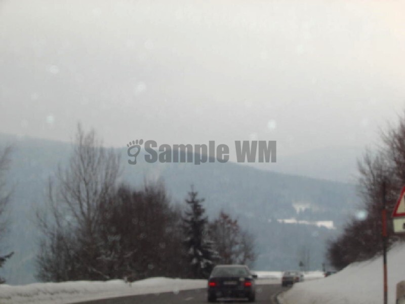 IMG_4773.JPG