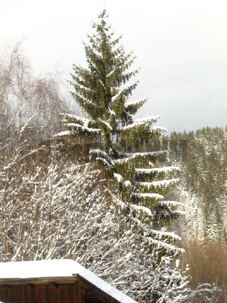 Img_4586.jpg