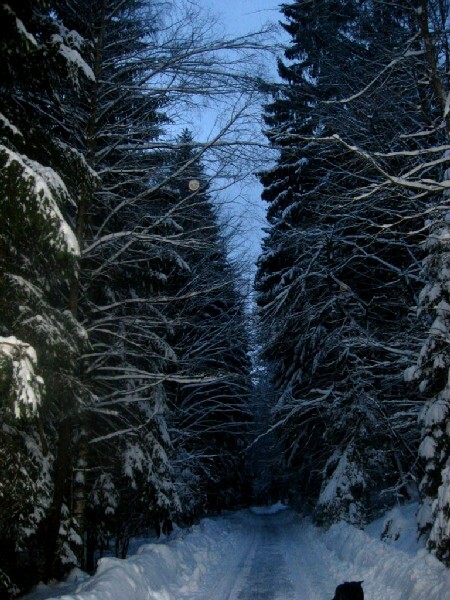 Img_4599.jpg