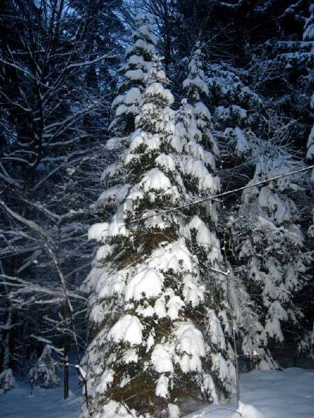 Img_4600.jpg
