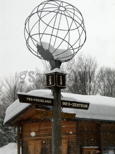Img_4690.jpg