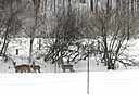 IMG_4539.JPG