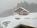 IMG_4554.JPG