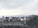 IMG_4582.JPG