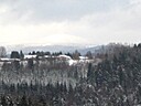 IMG_4583.JPG