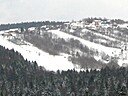 IMG_4584.JPG