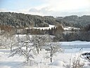 IMG_4606.JPG