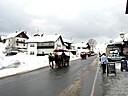 IMG_4620.JPG