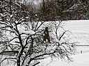 IMG_4625.JPG