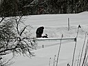 IMG_4626.JPG