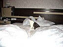 IMG_4644.JPG