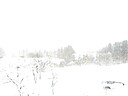 IMG_4666.JPG