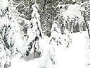 IMG_4668.JPG