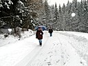 IMG_4671.JPG