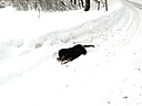 IMG_4674.JPG