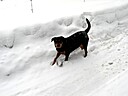 IMG_4675.JPG