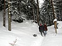 IMG_4682.JPG