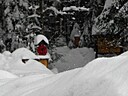 IMG_4689.JPG