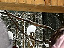 IMG_4692.JPG