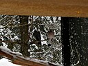 IMG_4693.JPG