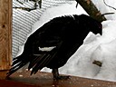 IMG_4695.JPG