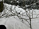 IMG_4696.JPG