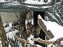 IMG_4699.JPG