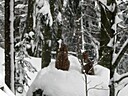 IMG_4704.JPG