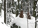 IMG_4705.JPG