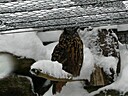 IMG_4707.JPG