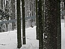 IMG_4714.JPG