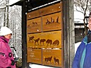 IMG_4715.JPG