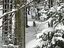 IMG_4716.JPG