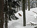 IMG_4717.JPG