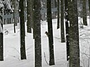 IMG_4719.JPG