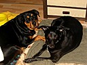 IMG_4741.JPG