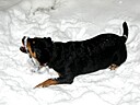 IMG_4746.JPG