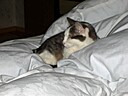IMG_4758.JPG