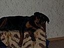 IMG_4759.JPG