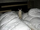 IMG_4765.JPG
